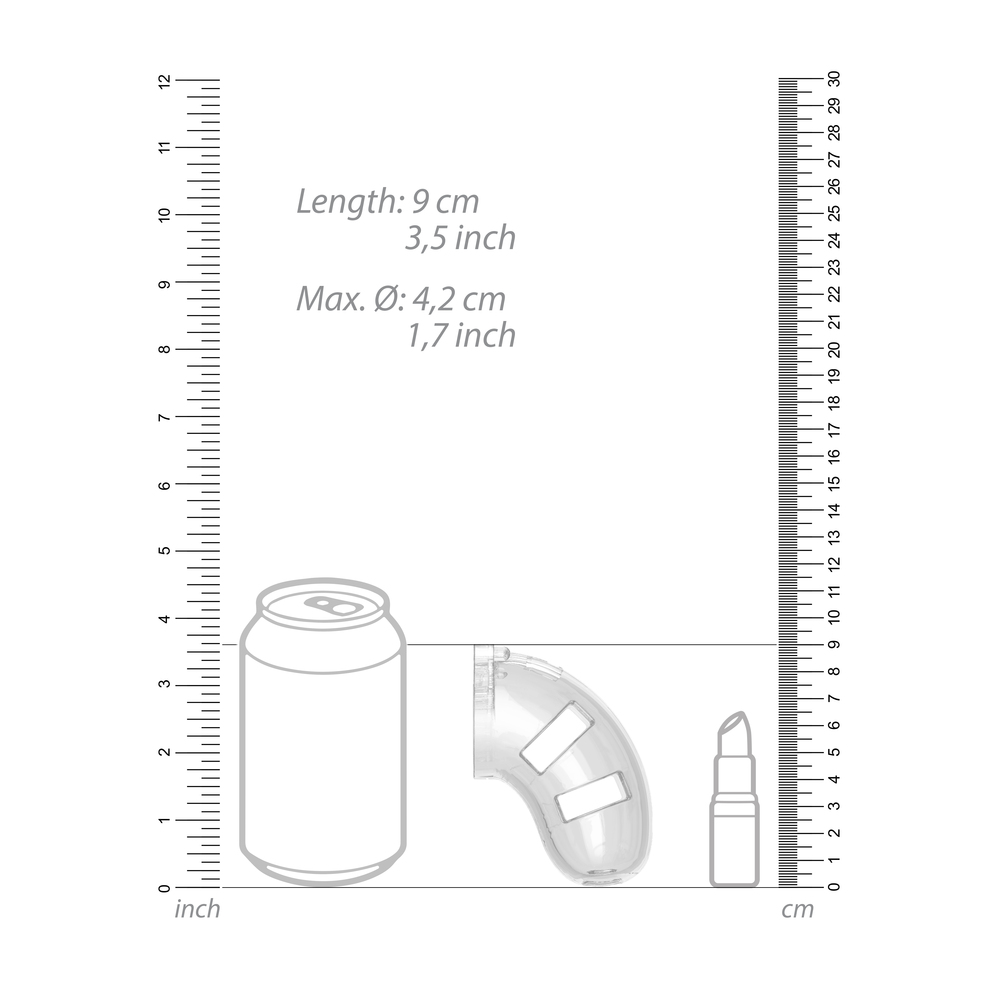 Man Cage 10 Male 3.5 Inch Clear Chastity Cage With Anal Plug